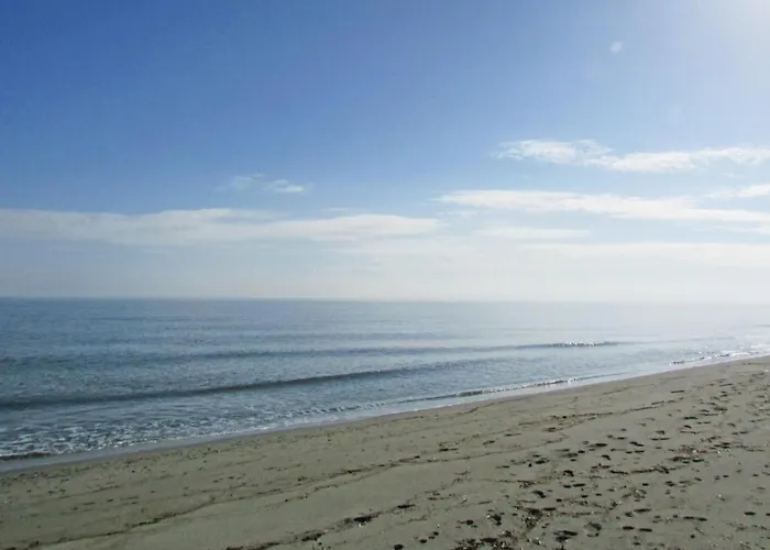 Beautiful In Venzolasca With Wifi Camp du Cap Sud